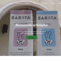 web4-bove